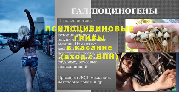 apvp Пересвет