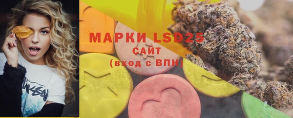 индика Абаза